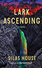 Lark Ascending